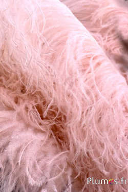 Autruche premium - 50-60 cm - beige rosé 